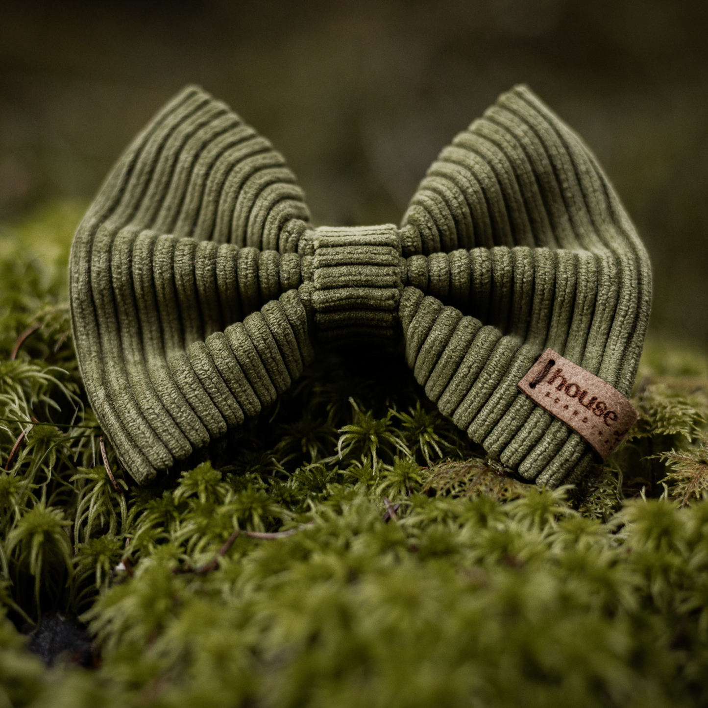 Velvet Bow Tie -Olive Oil Dog Collar Accessory