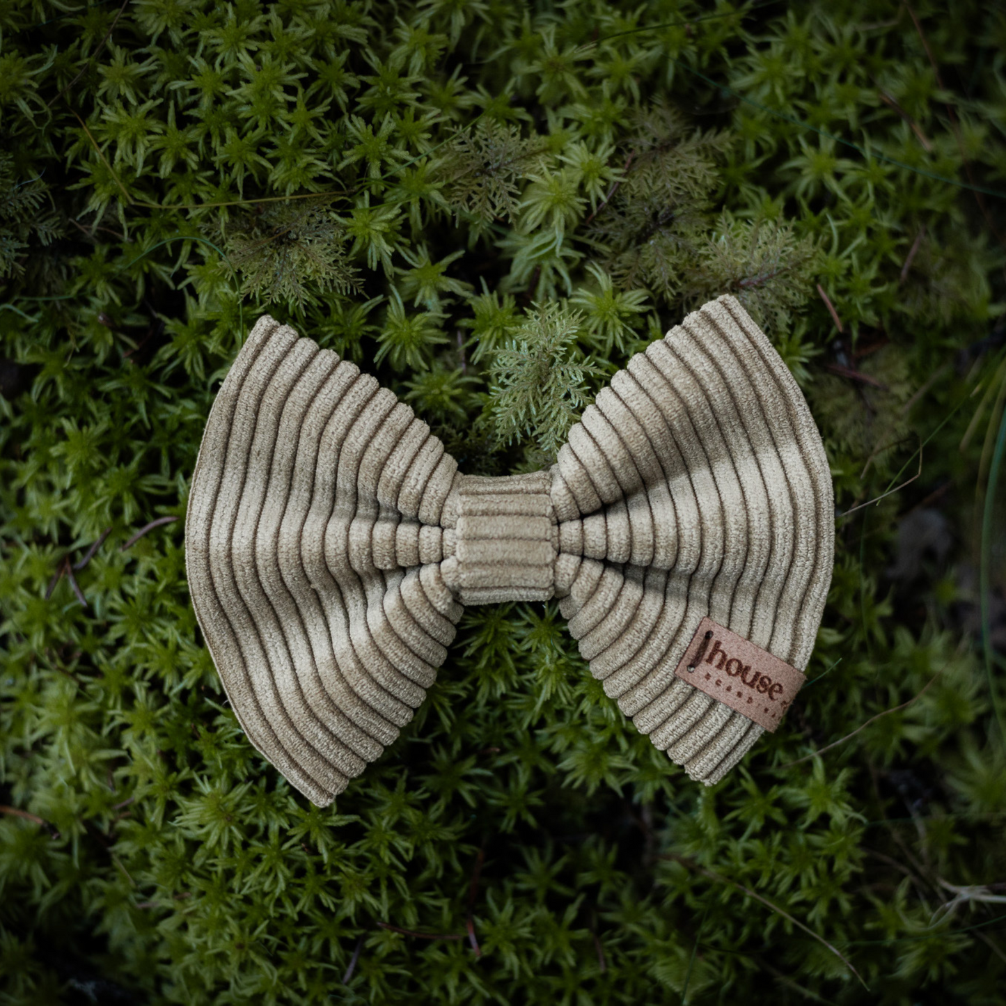 Velvet Bow Tie - Honeycomb Dog Collar Accessory