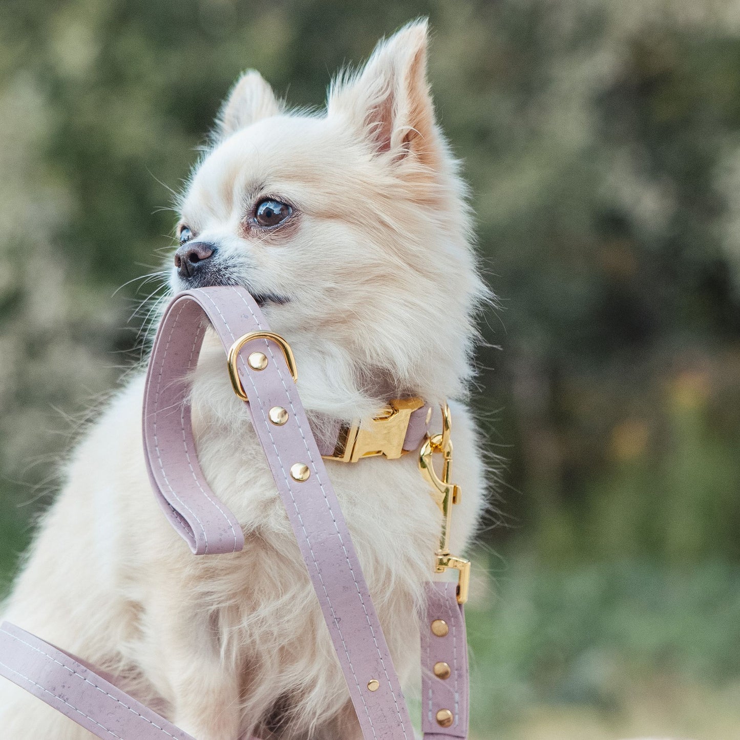 Luksuriøst Håndlaget Korkbånd til Hund – Miljøvennlig og Slitesterkt - Dusty Rose