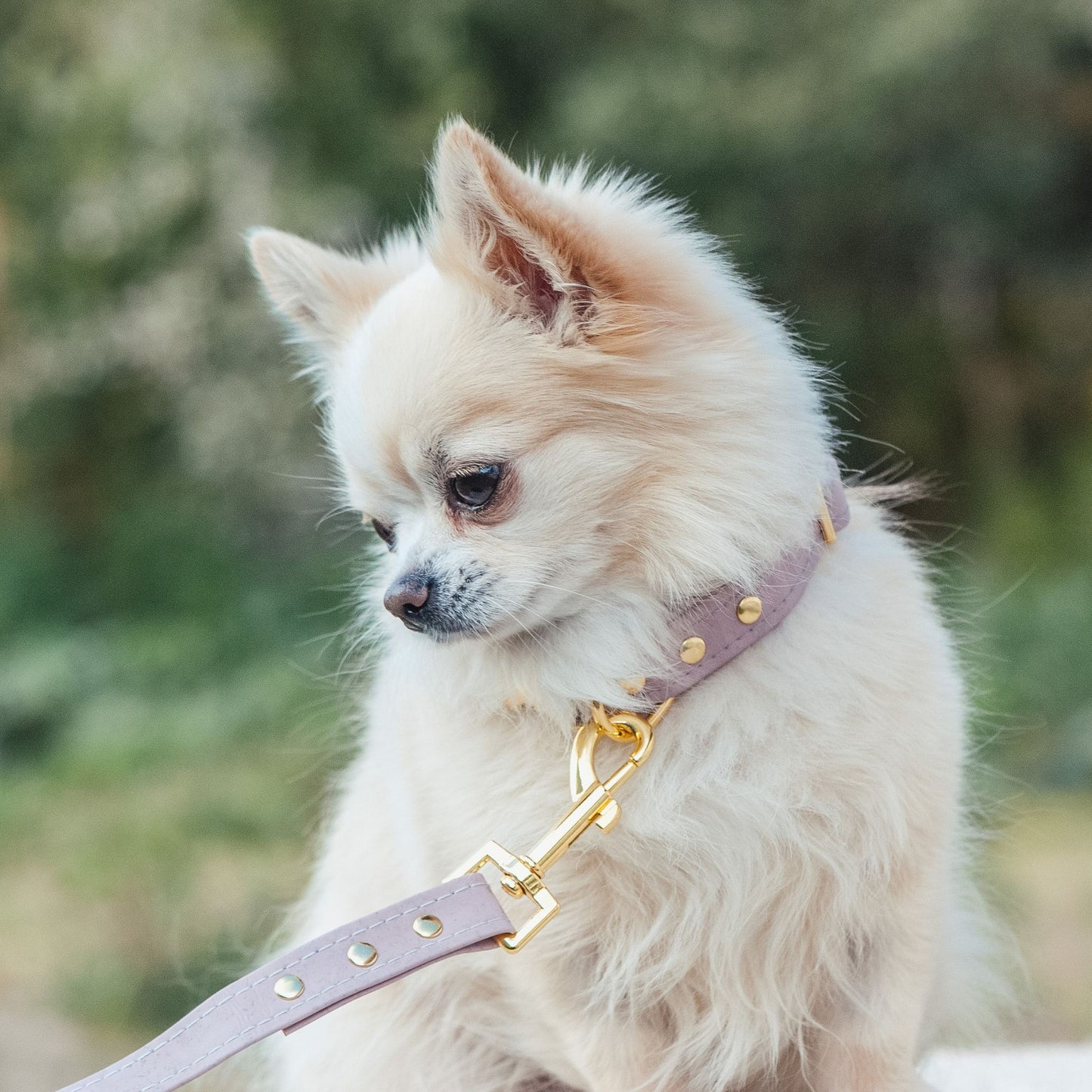 Luksuriøst Håndlaget Korkbånd til Hund – Miljøvennlig og Slitesterkt - Dusty Rose