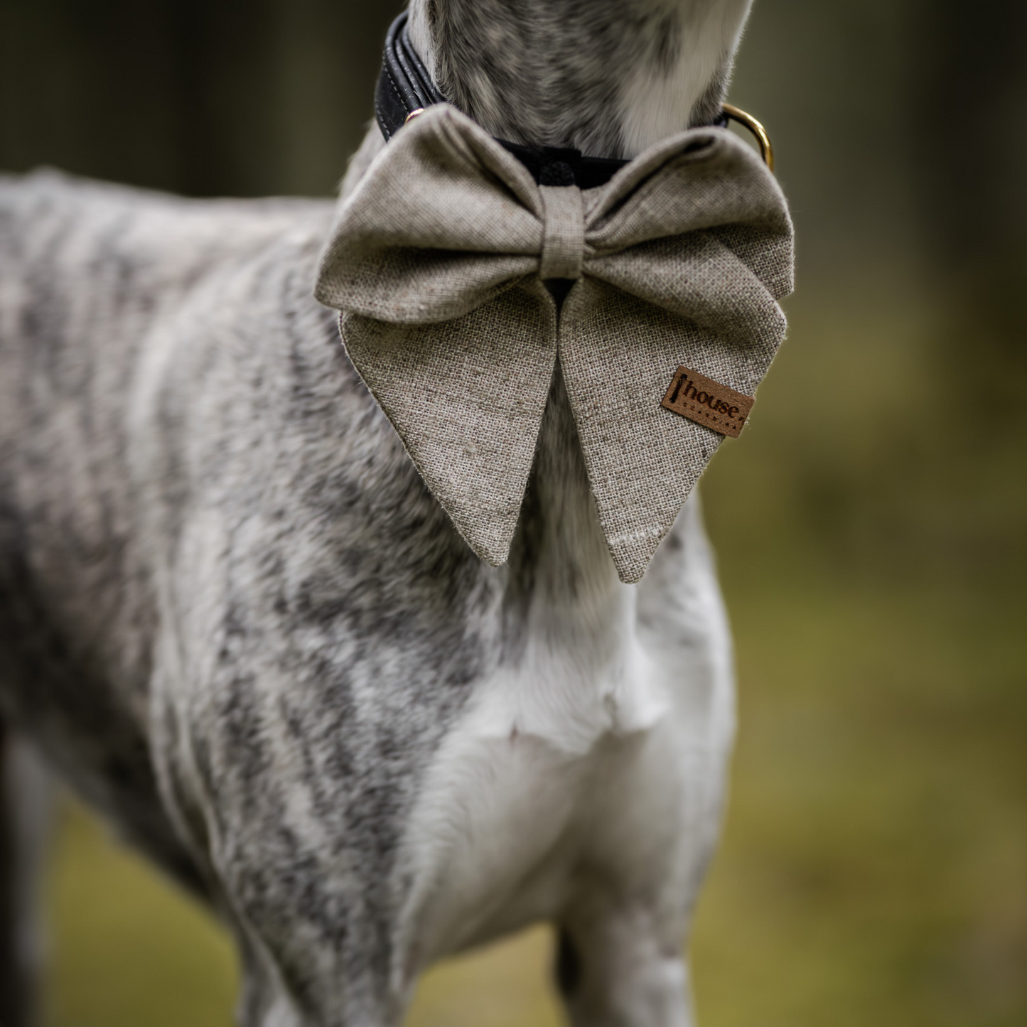 Sailor Bow - Wheat Dog Bow Tie