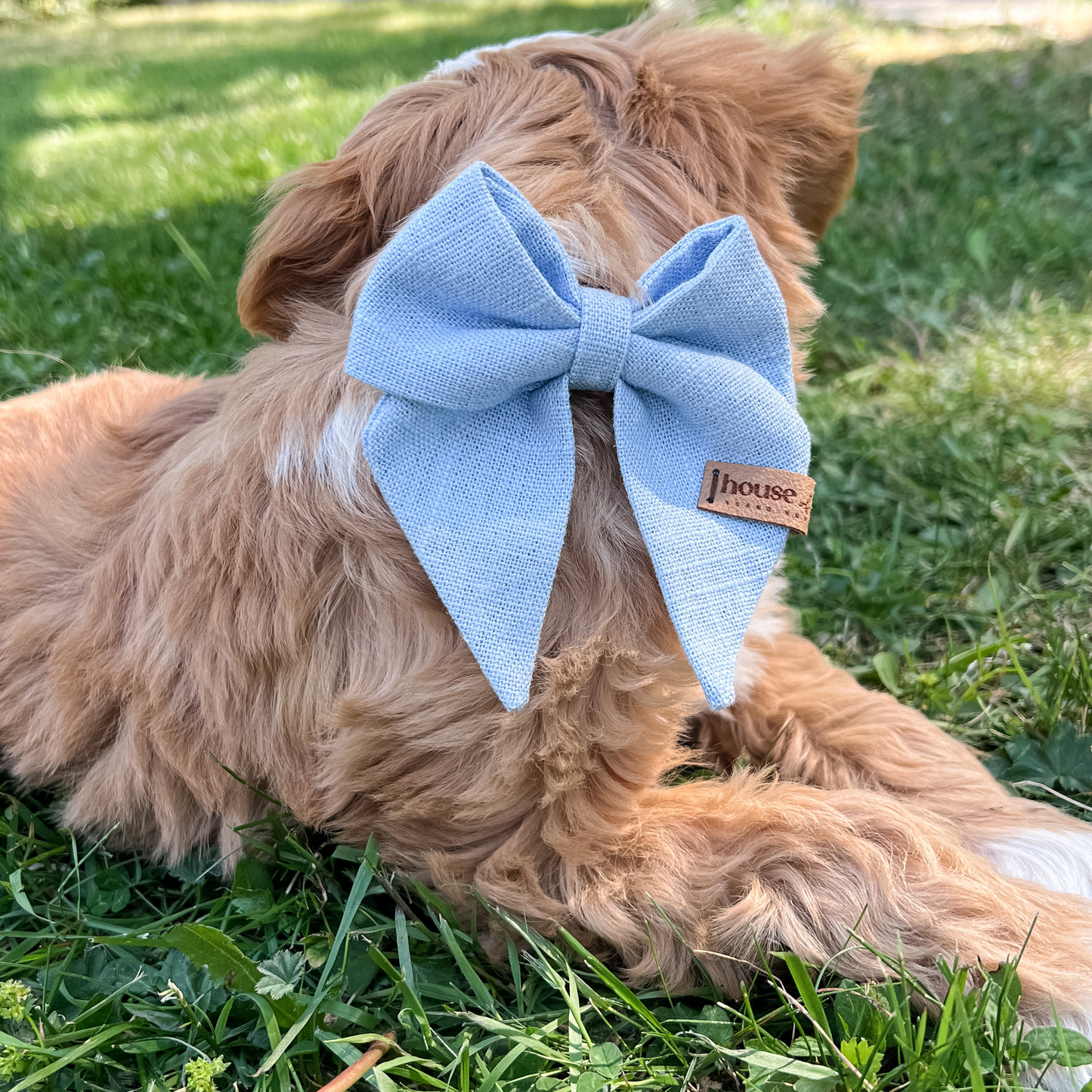 Sailor Bow - Powder Blue Dog Bow Tie